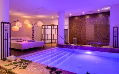 Hostellerie La Cheneaudière 4* & Spa