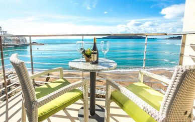 Hôtel Aleksandar Rafailovici 4*