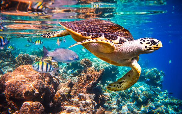 Le cordon tressé pour la pêche la sortie de lui