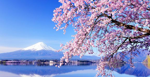 Mandarin Oriental Tokyo 5* en cabine Air France La Suite La Première