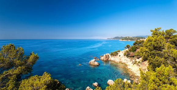 Hôtel The Element 4*