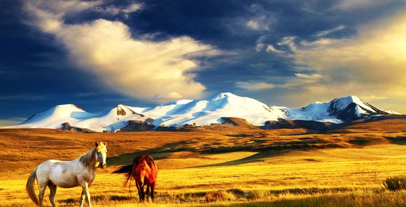 Immersion en Terres Mongoles en 7 nuits / 8 jours