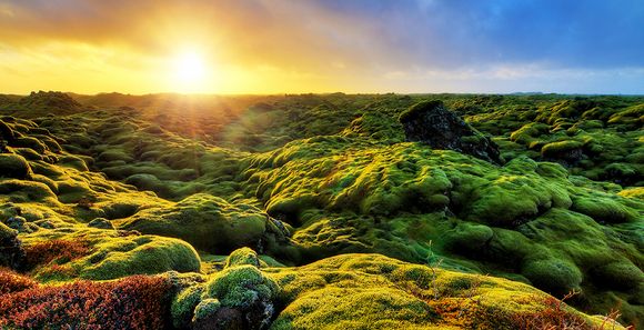 Tour d'Islande avec guide francophone 8 jours/7 nuits