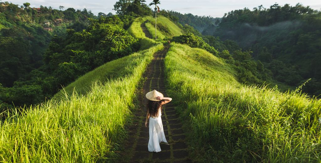 Element by Westin Bali Ubud 4* + Vila Ombak Hotel 4* + Sol Beach House Bali Benoa 5*