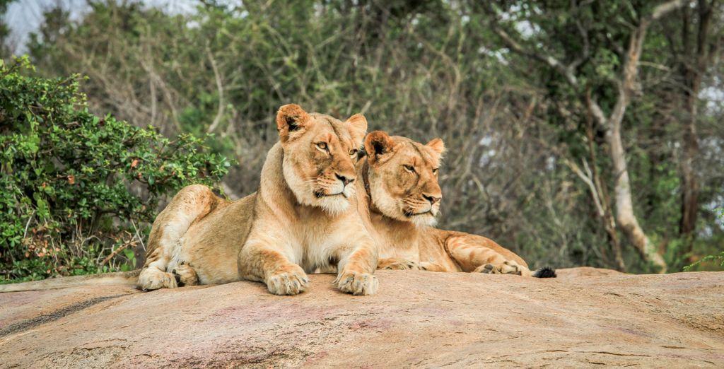 Kruger National Park