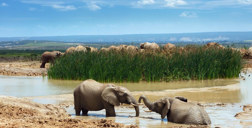 Unyati Safari Lodge Kruger