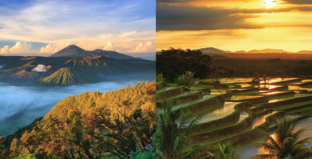 Reis Indonesië - Ubud - Privérondeis van Java naar Bali