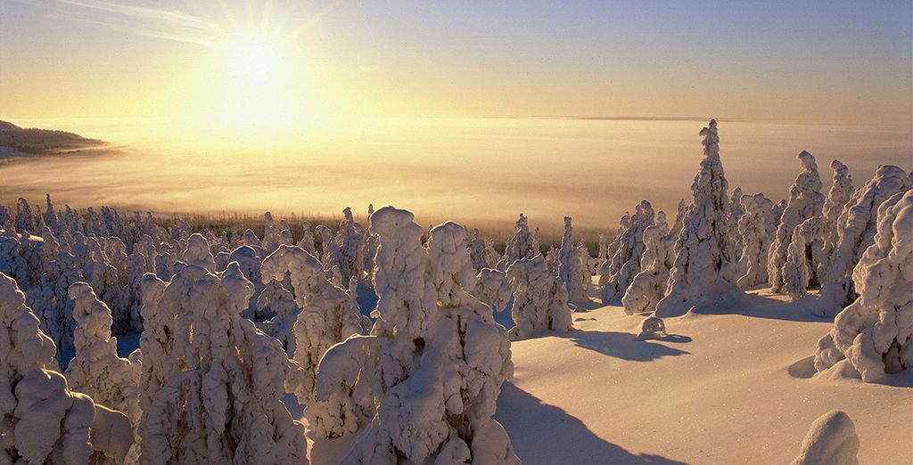 Hotel Lapland Luostotunturi