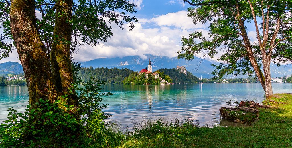 Luxury Glamping Chocolate Village: reviews en ervaringen