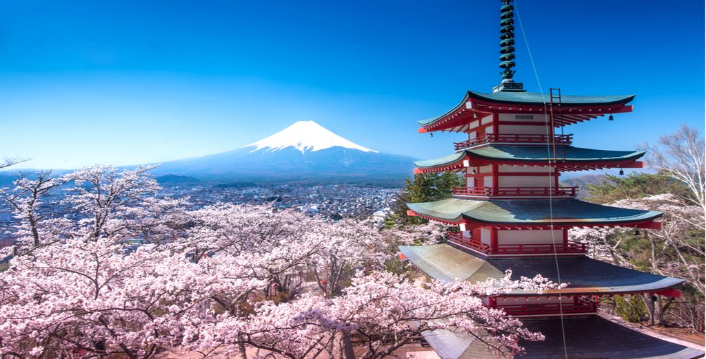 Séjour Authentique au Japon