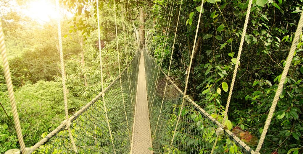 Private Rundreise: Entdeckung Malaysias und Verlängerung in Phuket