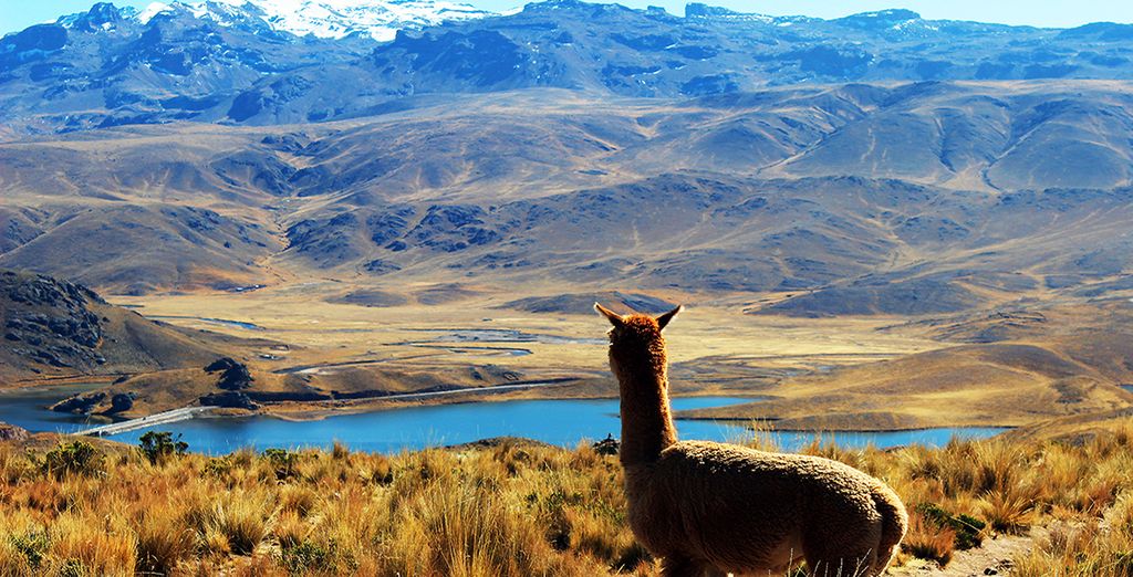 Bezauberndes Peru mit optionaler Strandverlängerung