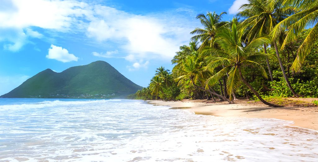 Kreuzfahrt durch die Karibik - Fort de France