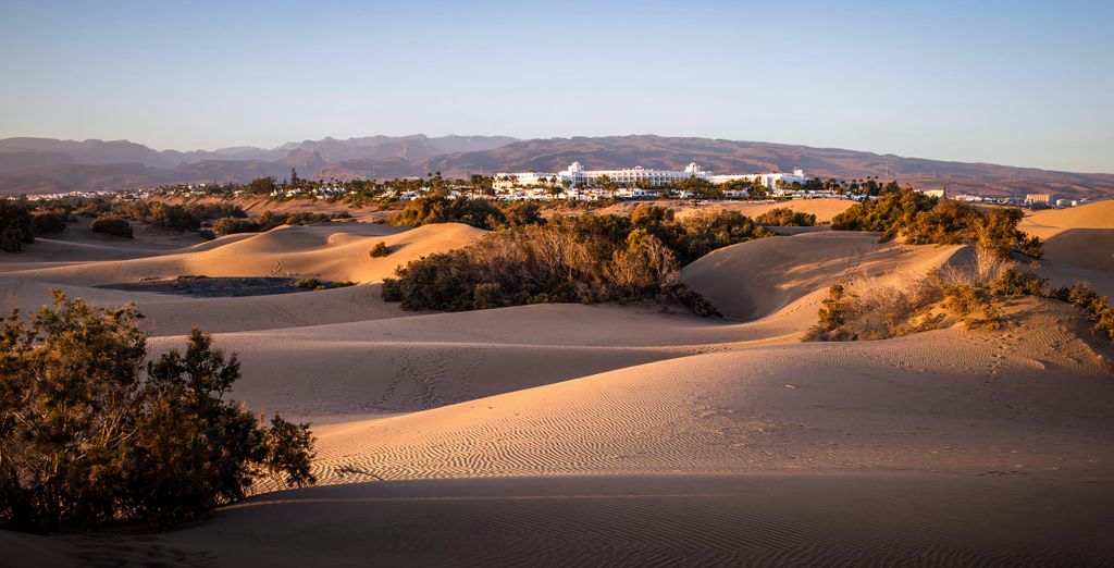Hotel The Koala Garden - Maspalomas, Gran Canaria