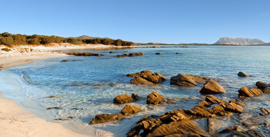 Fr&uuml;hlingslandschaft Sardinien