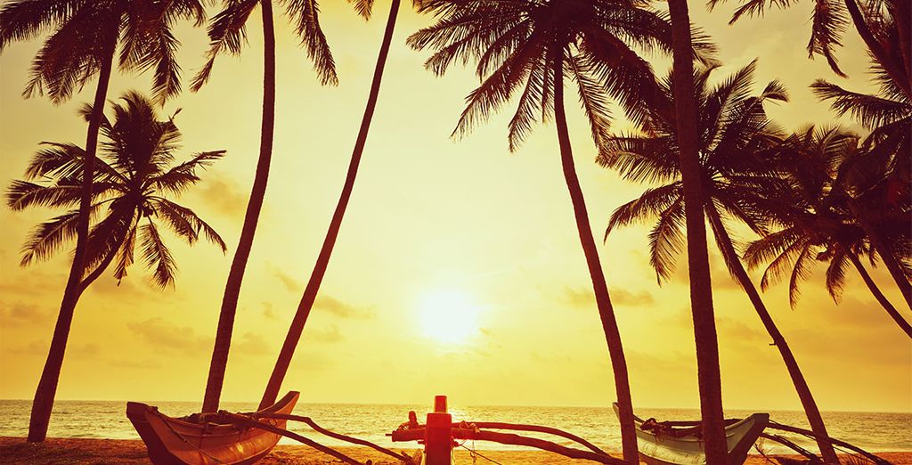 Rundreise Sri Lanka und Strandurlaub in Shinagawa