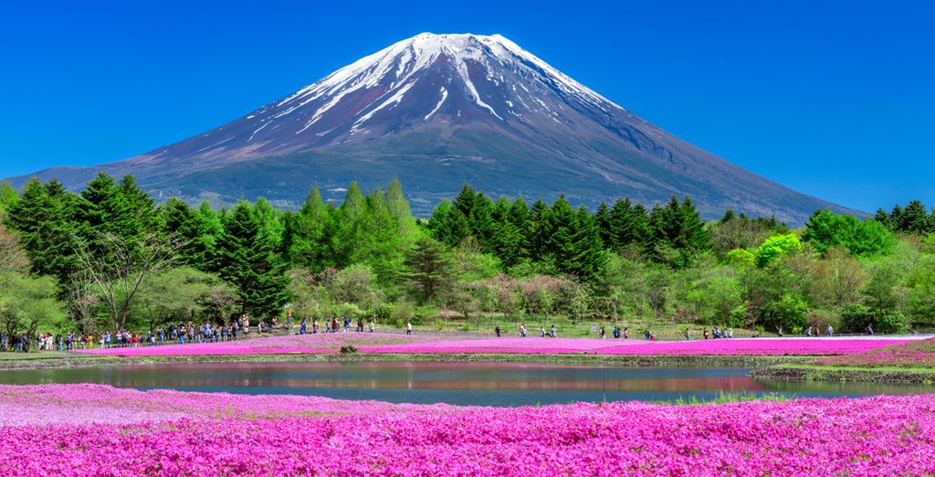 Japan zwischen Städtetrip und Auszeit in der Natur