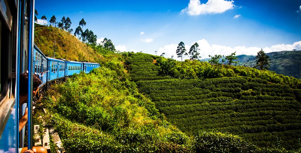 Kultur Natur und Abenteuer Sri Lanka