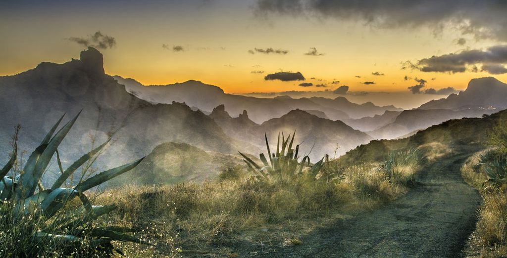 Jardin Canario - Gran Canaria urlaub