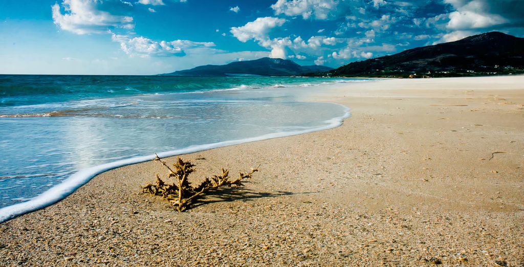 Estival Isla Cristina