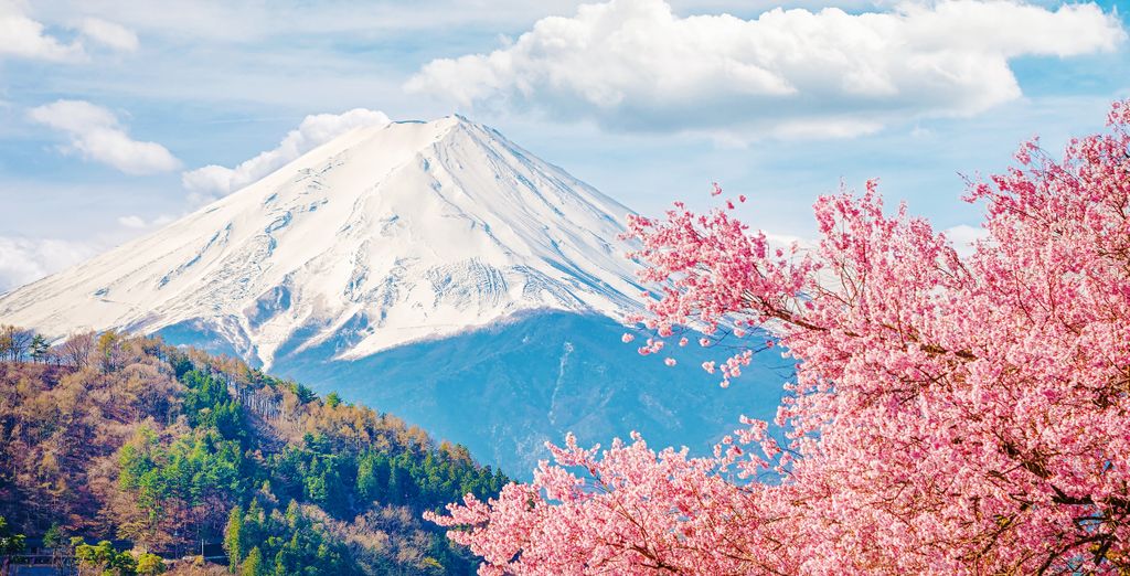 Tour privado por Japón con estancia en un ryokan