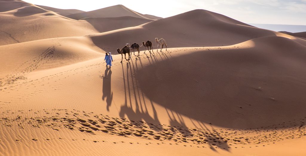 Entre la ciudad y el desierto de 5 a 10 noches - Marruecos