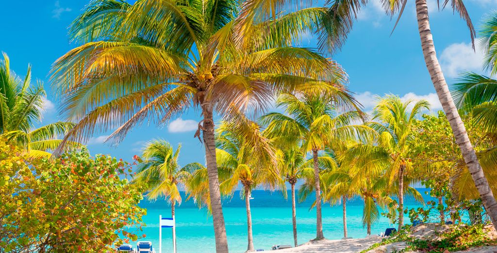 Mercure Coralia Playa de Oro 4*