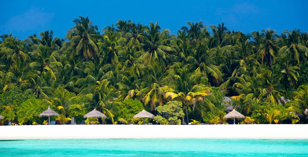 Combinado Divan Istanbul 5* y Filitheyo Island Resort 4*