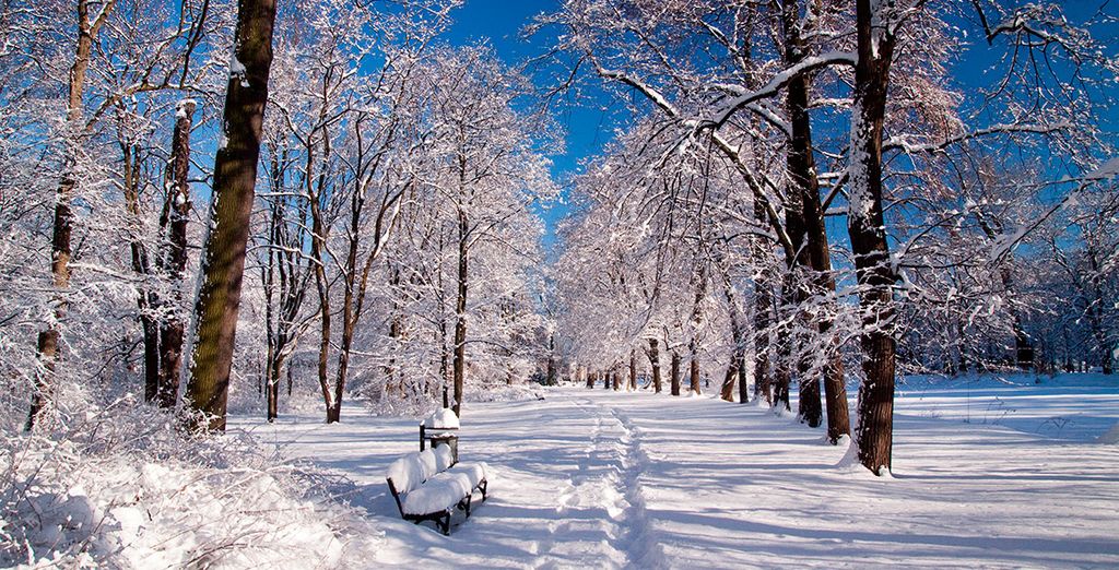 Escapada a Varsovia en Diciembre