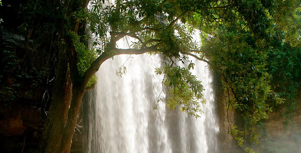 Flamingo Beach Resort & Spa 4* con safari