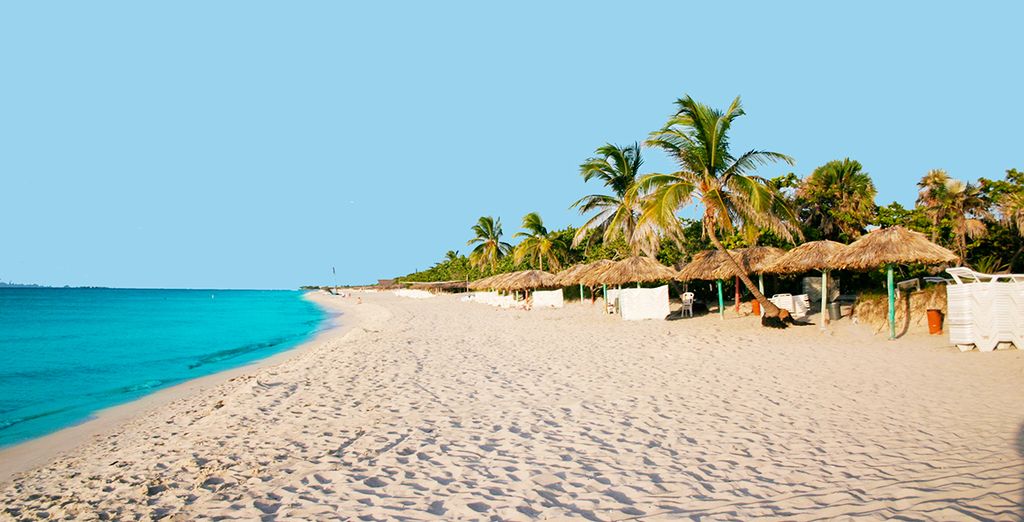 Blau Marina Varadero 5*