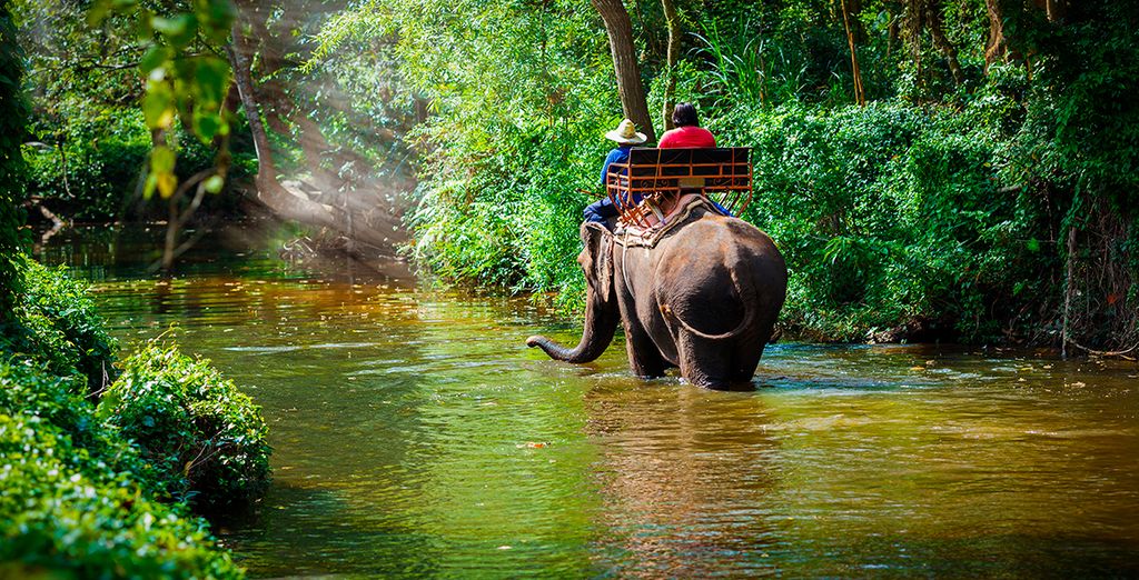 Bangkok, Triángulo de Oro y Camboya