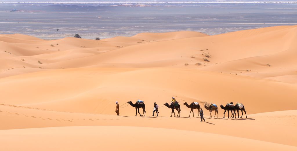 Circuito semi-privado por el Atlas, gargantas y el desierto