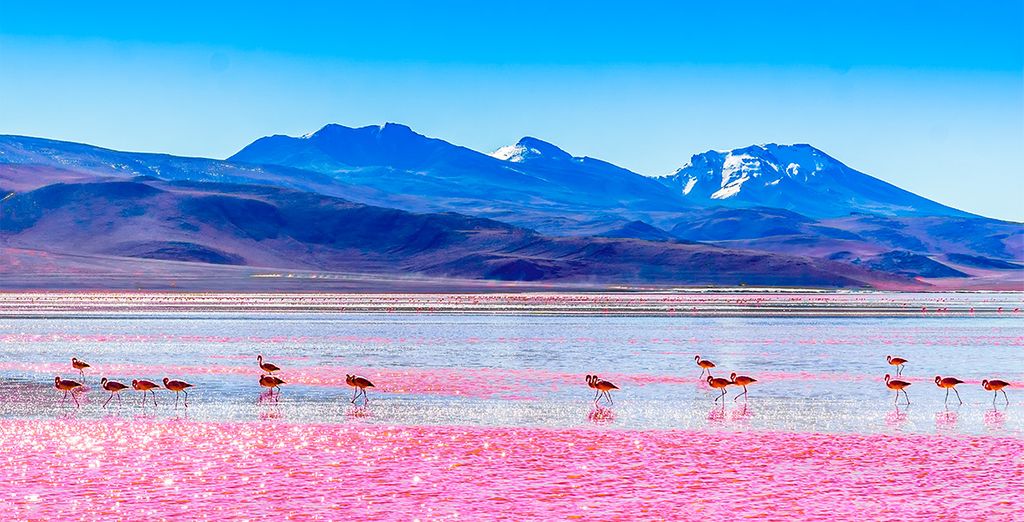 Chile y Bolivia con extensión al Lago Titicaca