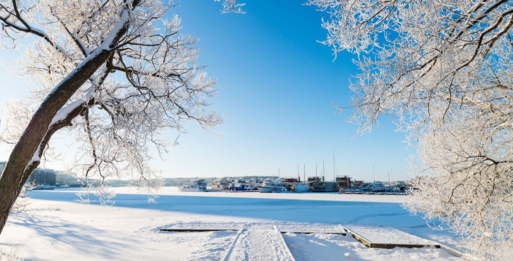 Copenhague y Estocolmo