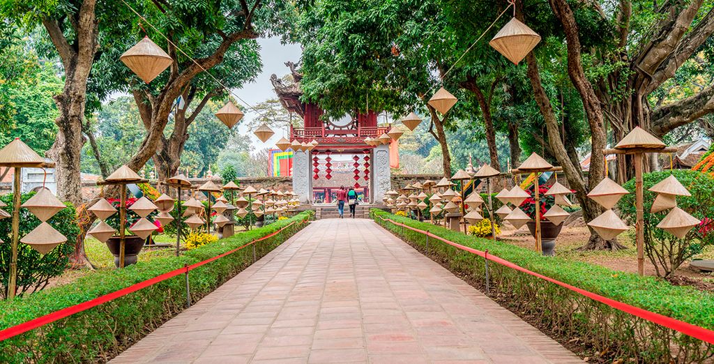 Los Esenciales de Vietnam