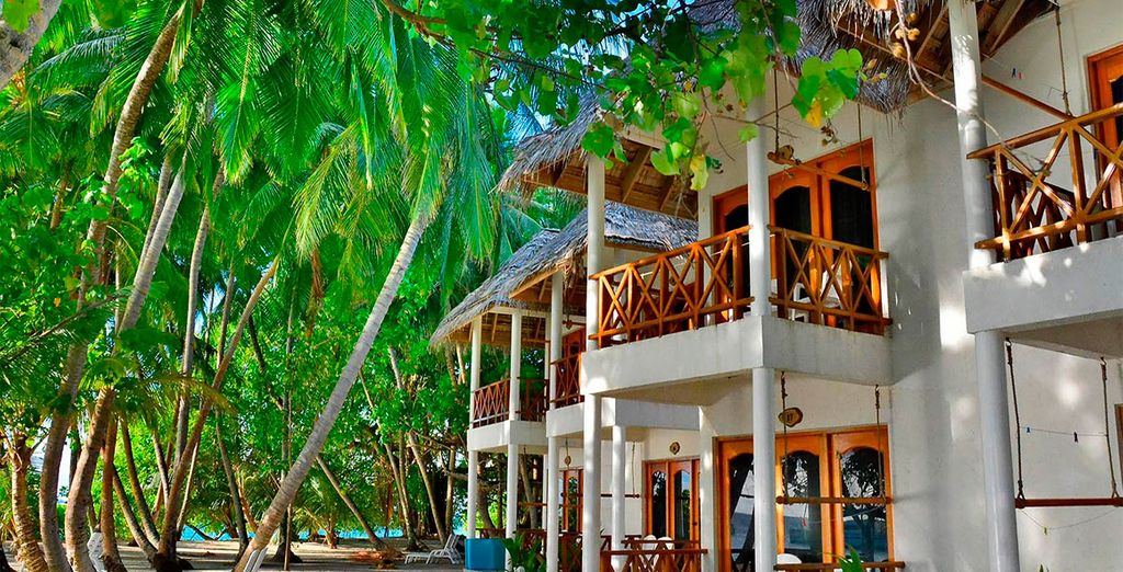 Combinado Sri Lanka y Fihalhohi Island Resort 4*