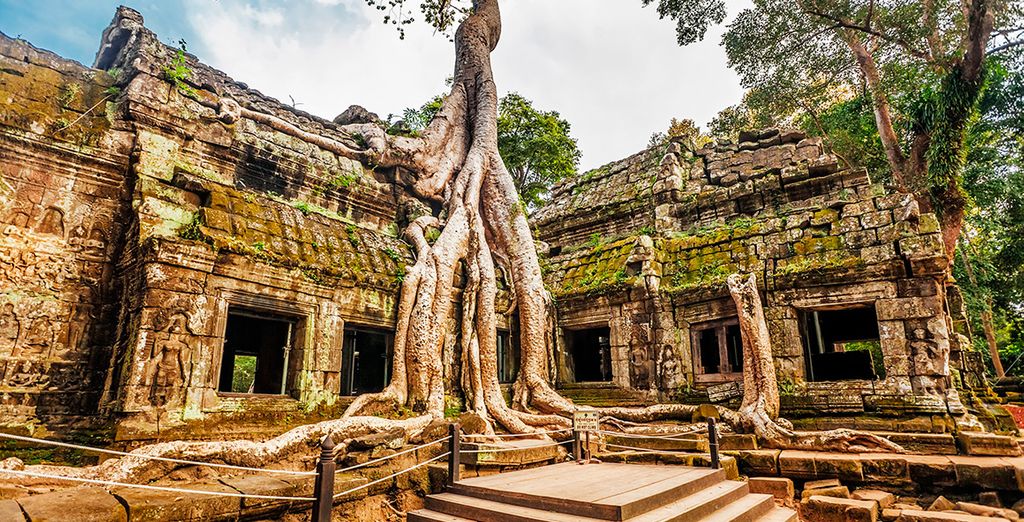 Vietnam Clásico con opción a Siem Reap