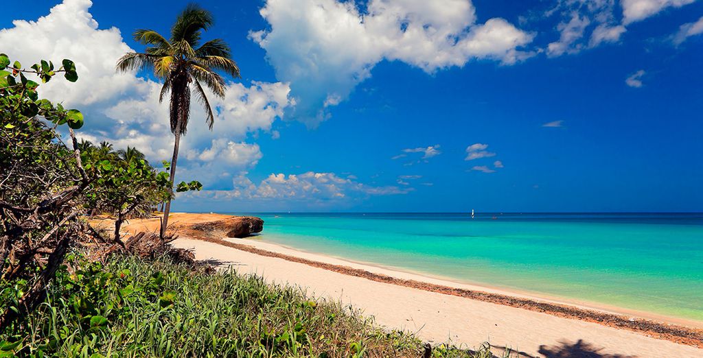 TRYP Habana Libre 4* y Sol Varadero Beach 4*