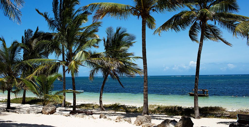 Descubre Kenia