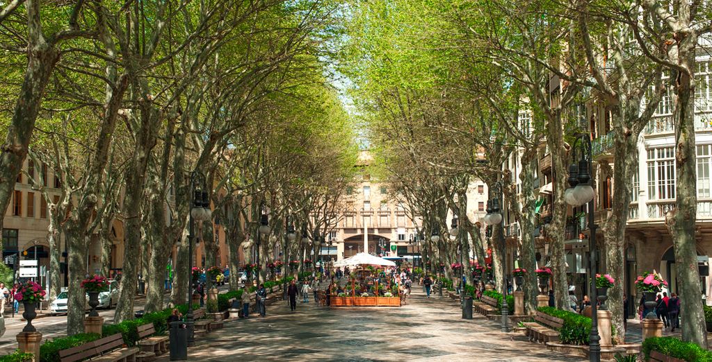 THB Class Guya Playa Aparthotel 4*