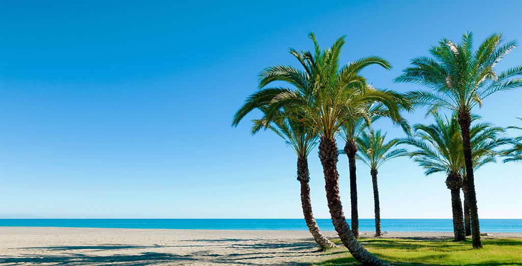 Smy Costa del Sol 4*