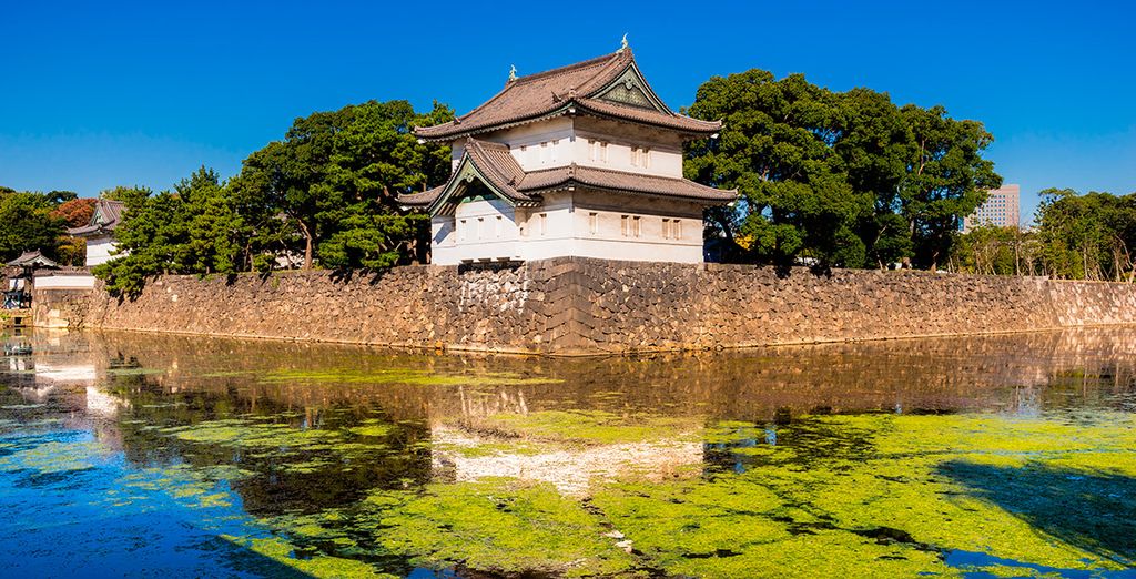 A los pies del Monte Fuji 