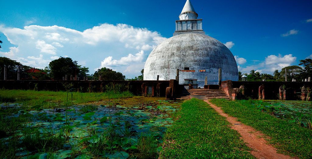 Ceylán - La Perla del Índico