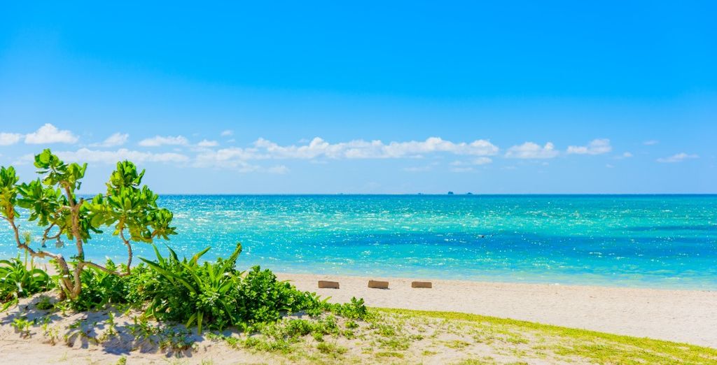 Desde Tokio hasta las playas de Okinawa