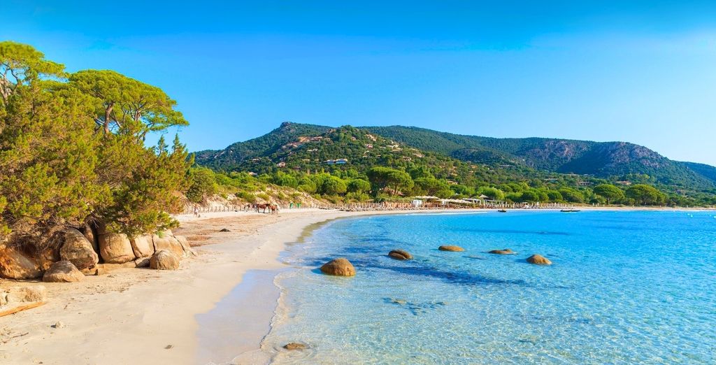 Résidence Chiar' Di Luna à Lecci, chemin dans les pins vers la mer
