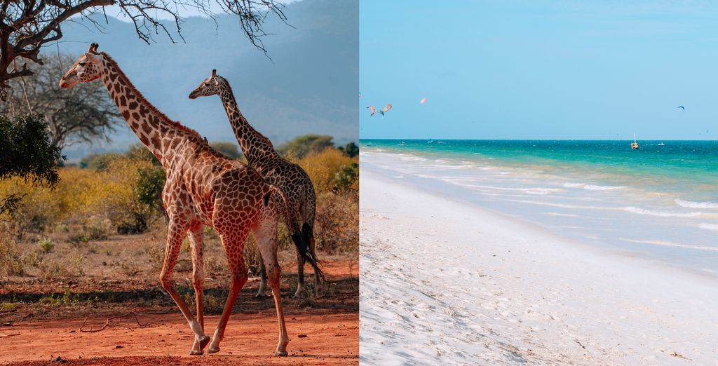 Avis Clients sur Life Resort St Thomas 4* avec safari Kenya – Photos ...