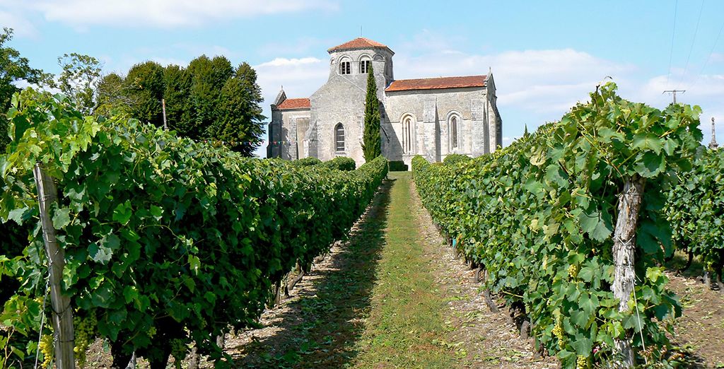 Résidence Les Coteaux de Jonzac 4* NouvelleAquitaine Jusqu'à 70 Voyage Privé