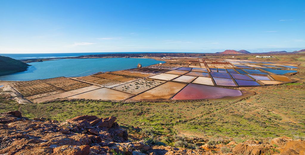 Les vignes de La Geria, plantées dans des cuvettes de cendre volcanique à Lanzarote