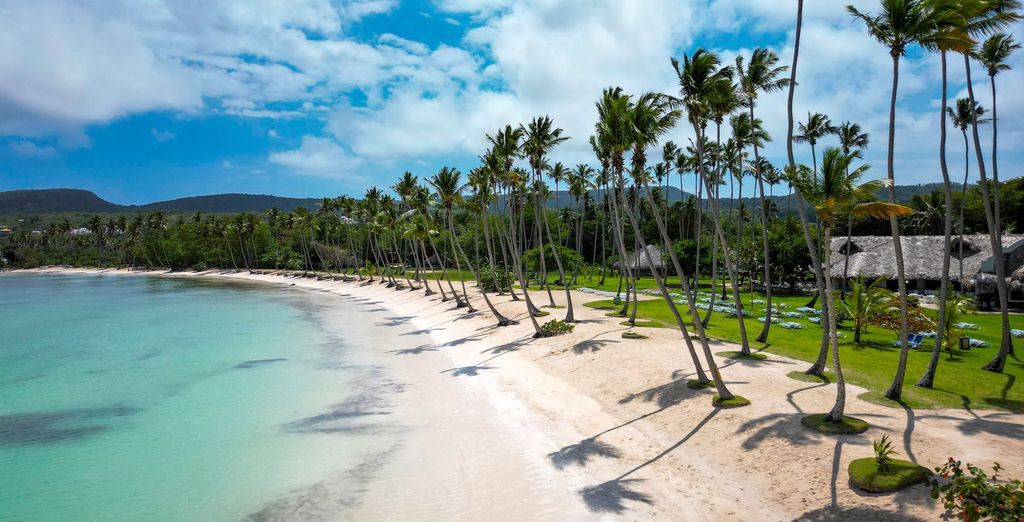 Une plage de sable blanc bordée de cocotiers, à Samana